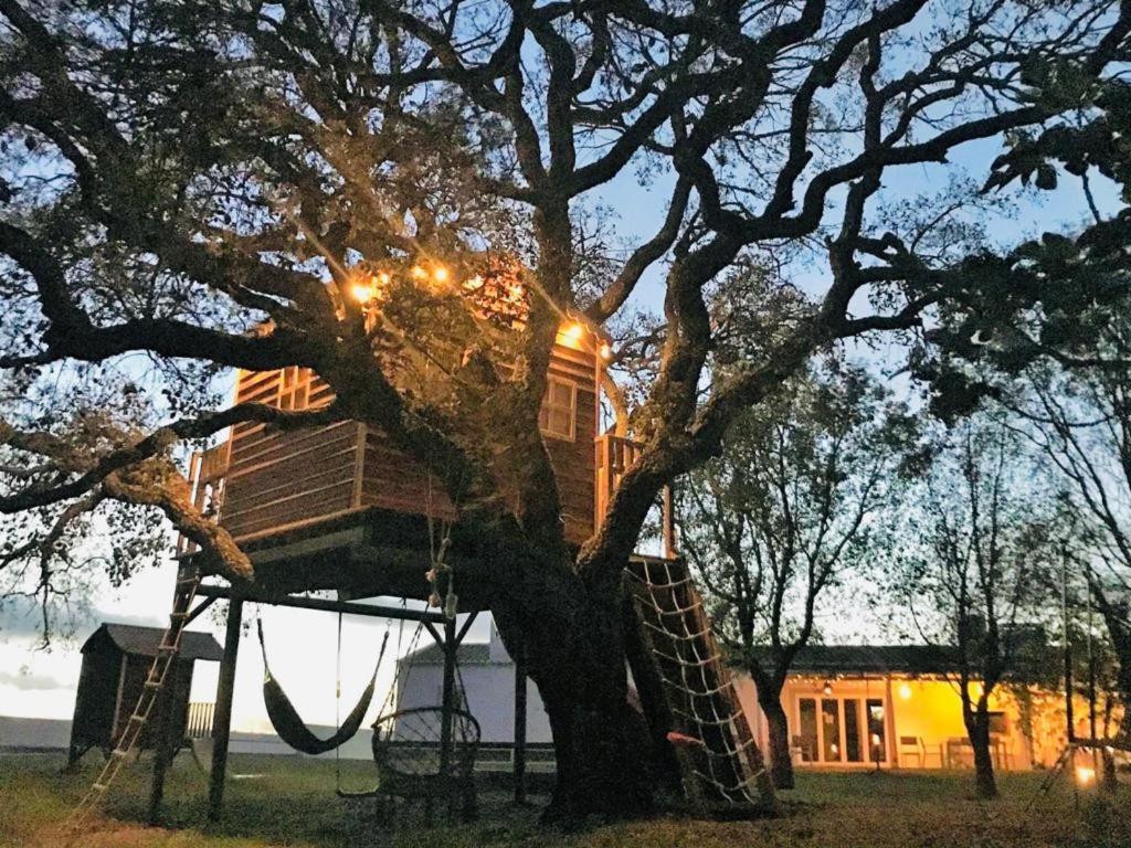 São Teotónio Pe No Monteゲストハウス エクステリア 写真